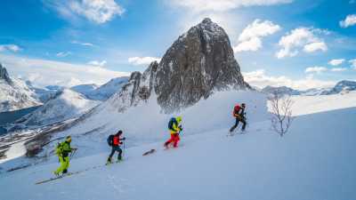 Norwegen - Kvaløya - 2026 Tromsø Winter Expedition: Ice Floating in Arctic Lakes 🧊 Whale Spotting 🐋 Reindeers & Huskies 🦌🛷 Northern Lights 🌌✨ Fjords 🏔️ - 1