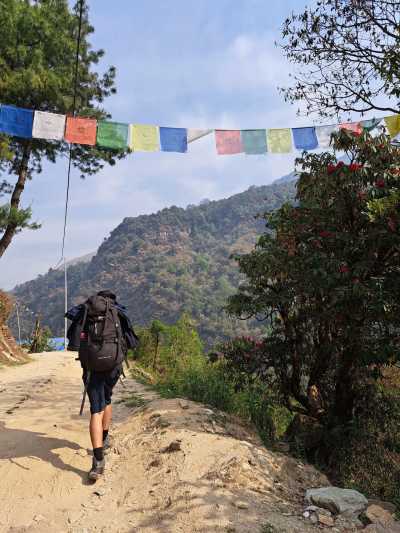 Nepal - Makalu Rural Municipality, Sankhuwasabha - Makalu Base Camp Trek: Journey to the Fifth Highest Peak - 4