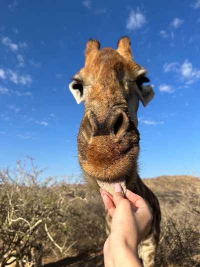 Namibia - Sesriem - Namibia : Road Trip Safari Adventure - 3