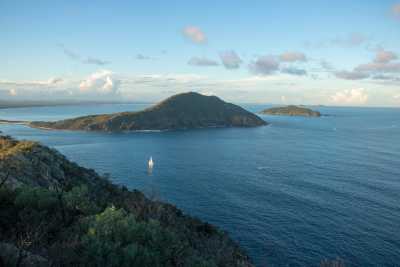 Australia - Tomaree Head Summit walk - 🇦🇺 🐋 Whales, Waves & Wildlife: 7 Days of Australian Adventure in Newcastle 🦘🐨 (PRIVATE ROOM) - 2