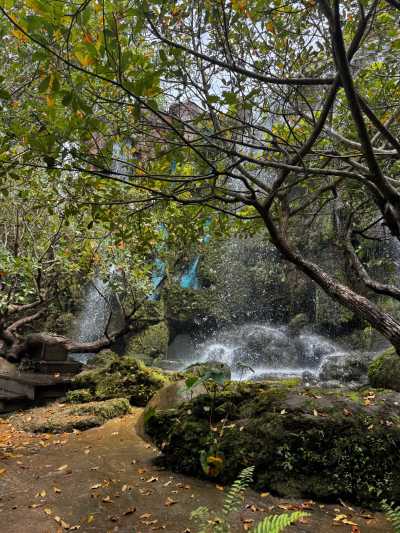 Seychelles - Mahé - Discover the Magical Seychelles Islands - 1