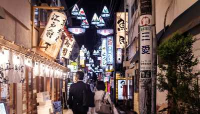 Japan - Tokyo - 🌸 Nature, Historical and Cultural Experience in Osaka-Kyoto-Nagoya-Tokyo | Made for Ghibli Fan! - 3