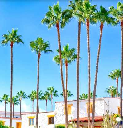 Spain - Maspalomas - (2 Wochen) Community Workation, Coliving // Las Palmas, Gran Canaria 🇪🇸🧑‍💻