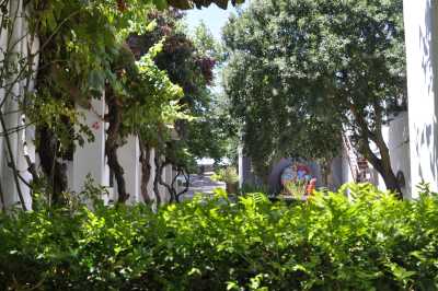 South Africa - Stellenbosch - Entdecke Südafrika: Die Kapregion - jenseits der touristischen Trampelpfade - 1