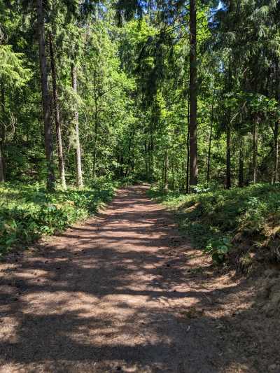 Northern Europe - Nationalpark Ķemeri - Discover the Baltic States - Tallinn, Riga, Vilnius and much more! - 3