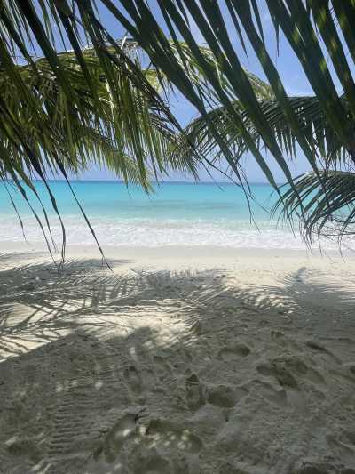 Maldives - Dhigurah - Between Two Islands: Maafushi & Dhigurah Experience 🌴 - 4