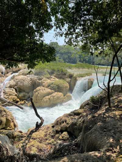 Mexiko - Cascadas Roberto Barrios - Discover Mexico with a local... Chapter : Pacific Ocean beaches, Riviera Maya, and enchanting waterfalls, Join us for an unforgettable adventure! - 1