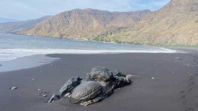 Cabo Verde - Tarrafal de Monte Trigo - WANDERREISE: Inselüberquerung Santo Antao & Besteigung des Vulkan Fogo (Kapverden) - 3
