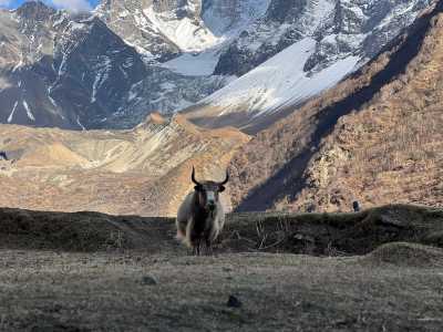 Nepal - Samagaun - Manaslu Wilderness Trek – Explore the Remote Himalayas in 15 Days - 1