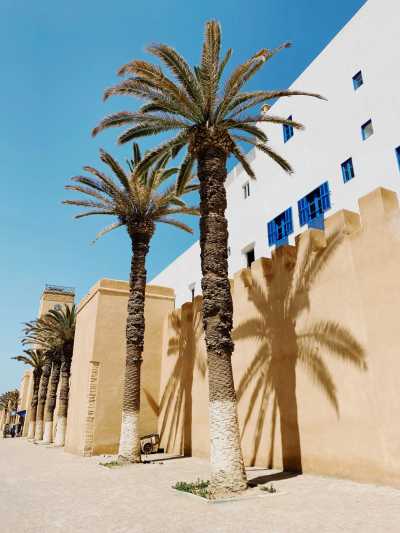Morocco - Ahl Agadir - 🇲🇦 An Introduction to Morocco: Six Nights From the Tranquil Riads of Marrakech to Essaouira's Salt-Kissed Air (PRIVATE ROOMS) 🍵 - 1