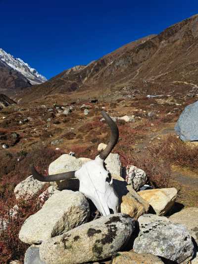 Nepal - Samdo - Manaslu Wilderness Trek – Explore the Remote Himalayas in 15 Days - 1