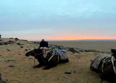 Morocco - Zagora - 🎬 Hollywood of Africa & Marrakech & Sahara Escape – 6 Days from Casablanca to the Desert 🐫✨ - 9