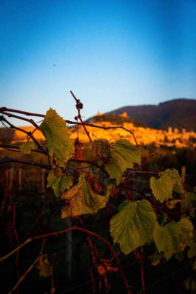 Italien - Assisi - Assisi & Orvieto: Medieval Magic & Umbrian Flavors Tour