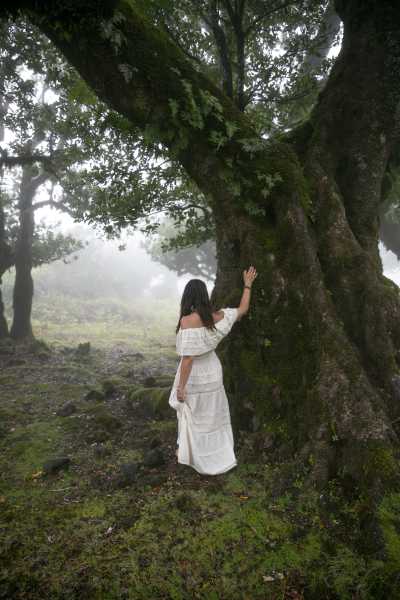 Portugal - Herbal Walks, Sacred Pilgrimages and Kundalini Yoga in the Coimbra Hills - JoinMyTrip