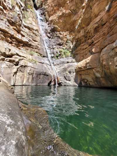 Südafrika - Albertinia - 🌞Ultimate 10-Day South Africa Road Trip🇿🇦Cape Town & The Garden Route – 🌊Adventure, Nature & Epic Vibes! - 6