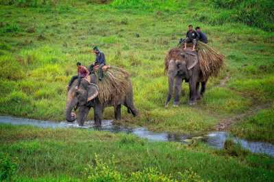 Nepal - Chitwan National Park - 🇳🇵 Nepal Motorradreise (Privatzimmer!) 🏍️ mit der Royal Enfield durch Nepal incl. Rafting & Safari🗻🚣🦏🌴 - 2