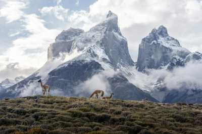 Chile - Chilean Patagonia - 11 Days Chile Ultimate Adventure: Patagonia W Trek & Atacama Desert