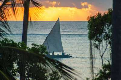 Tanzania - MAALUM - Zanzibar Workcation: Cowork, Chill, and Explore Paradise(Shared room) - 2