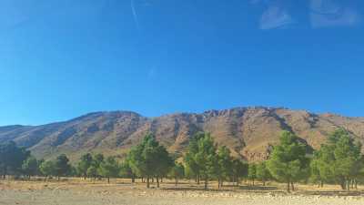 Morocco - Ziz Oasis - Moroccan Roadtrip - Into the Desert - 2