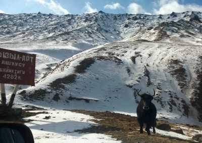 Central Asia - Karakul Lake - Tajikistan & the Pamir highway! 🇹🇯 Tajiki tribes, Mountain ranges, YAKs and Yurts ⛰️🛖🐃 - 2