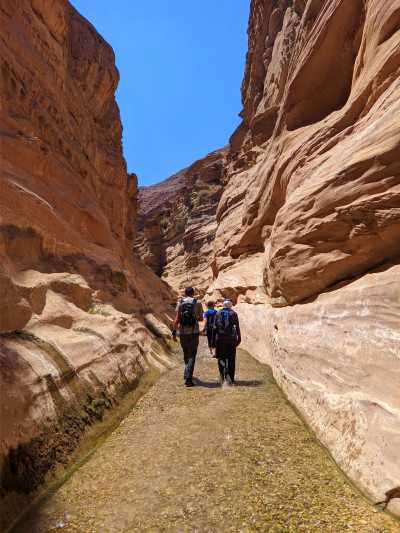 Egypt - Wadi El Weshwash - وادي الوشواش - Exploring the Beauty of Dahab & Cairo: A Journey through Desert and Sea - 1