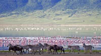 Tanzania - Ngorongoro Crater - Tanzania Big Five Safari & Wildlife Photography Expedition | Serengeti & Ngorongoro - 1