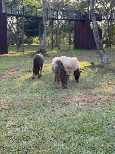 Ghana - Shai-Hills Resource Reserve - 7 Days Epic Experience In Ghana