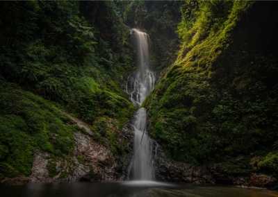 Ruanda - Gisovu Tea Estate - RWANDA! Self-drive 4x4 landcruiser 🐒🦍🍃 Chimpanzee tracking, Canopy walk, Tea plantation, Volcanoes National park 🇷🇼 - 1