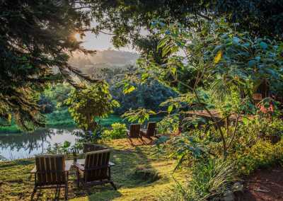Uganda - ViaVia Entebbe - Uganda: Self drive 4x4 Land Cruiser 🦍🌿Gorilla & Rhino tracking! Coffee, Waterfalls & Hikes 🇺🇬 - 4