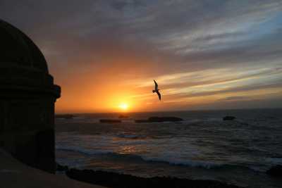 Morocco - Ahl Agadir - 🇲🇦 An Introduction to Morocco: Six Nights From the Tranquil Riads of Marrakech to Essaouira's Salt-Kissed Air (PRIVATE ROOMS) 🍵 - 2