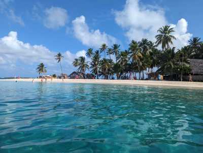 Panama - Panama City - PANAMA - Das Paradies zwischen zwei Ozeanen: Entdecke Panamas unberührte Vielfalt in 10 Tagen 🦥🌴 - 1
