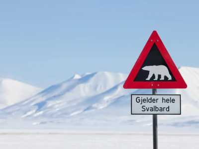 Svalbard - SVALBARD - THE NORTH IS CALLING - JoinMyTrip