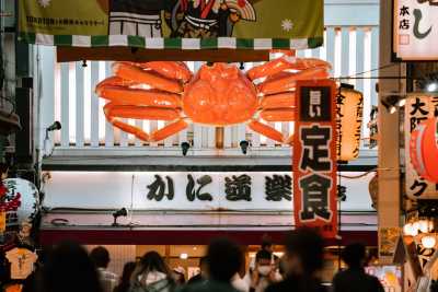 Japan - Osaka - Celebrate Like a Local: Japanese New Year Traditions Unveiled - 5