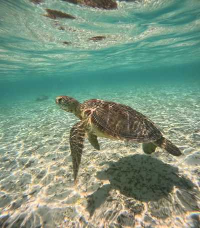 Maldives - Fehendhoo - True Maldives: Local Living • Stunning Beaches • Turquoise Dreams - 5