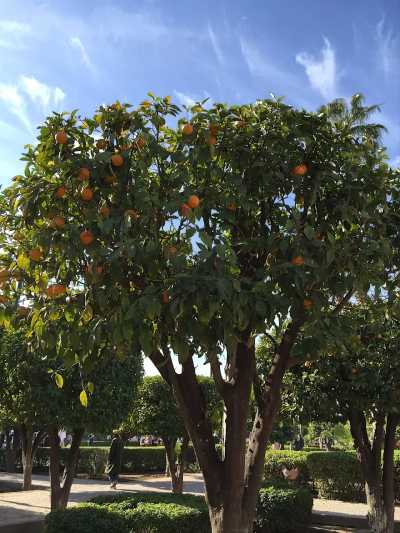 Marokko - Koutoubia - 7 Days in Marrakech: Dive Into Markets, Palaces & Gardens - 2