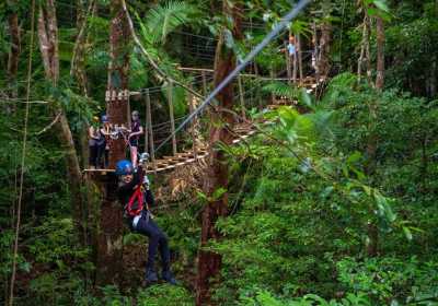 Australien - Cape Tribulation - 🌴🪸 Daintree to Great Barrier Reef: A Co-Working Retreat in Port Douglas, Australia 🐠🇦🇺 - 1