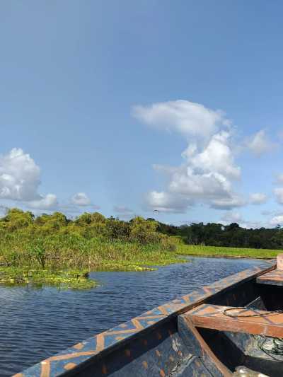 Colombia - Amazonas - 7-tägige Survivalexpedition durch den Amazonas - 5