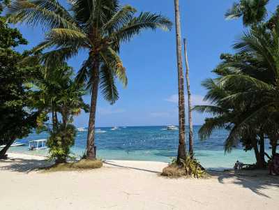 Philippinen - Panglao - 🇵🇭 Philippinen 🏝️ 14d Abenteuer Philippinen Backpacking Reise - Tauchen, Rafting, Vulkane, Kiten 🚀