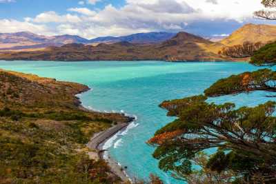 Chile - Chilean Patagonia - Chile New Year’s Eve Trip 🎇 | Deserts, Glaciers & Penguins 🐧🏔️ - 3