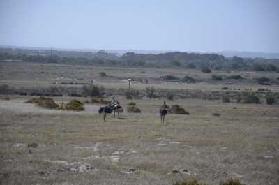 South Africa - Karoo-Nationalpark - Entdecke Südafrika: Die Kapregion - jenseits der touristischen Trampelpfade - 1