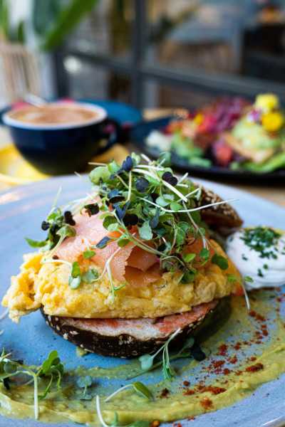 United States - Asheville - Blue Ridge Mountain Culinary Creative Connection - 2