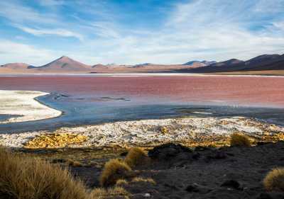 Bolivien - Laguna Colorada - A 12-Day Journey Across Bolivia – Salt Deserts, Andean Peaks & Living Cultures