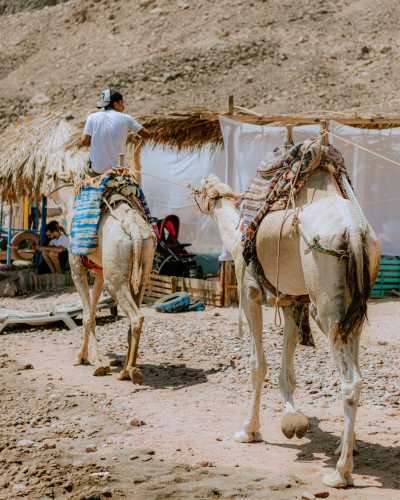Egypt - Three Pools Dive Site - Exploring the Beauty of Dahab & Cairo: A Journey through Desert and Sea - 2