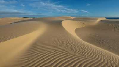 Australia - Sand Dunes Anna Bay - 🇦🇺 🐋 Whales, Waves & Wildlife: 7 Days of Australian Adventure in Newcastle 🦘🐨 (PRIVATE ROOM) - 1