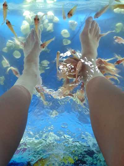 Südostasien - Krong Siem Reap - 🇰🇭 Kambodscha - Budget Backpacking Trip durch Kambodscha incl. Angkor Wat 🏯 Pfefferplantagen 🌿 & Inselwelten 🌅 - 3