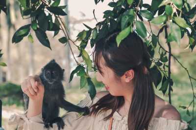 Malaysia - Kuala Selangor - Explore Amazing Kuala Lumpur, Malaysia with a Local and Travel Photographer - 4