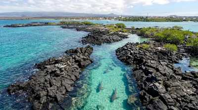 Ecuador - Puerto Ayora - 🇪🇨 Best of Galapagos Islands 🏝🦎🦈🐧 ALL INCLUSIVE!