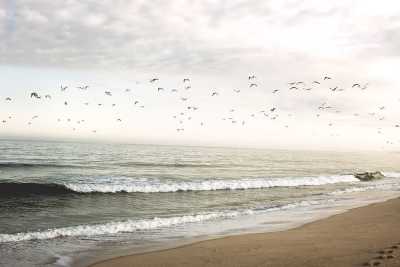 Portugal - Noah Surf House - YOGA, SURF and FLOW, Portugal - 39