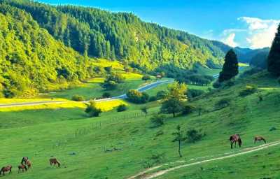 China - Fairy Mountain Party Club Villa - Immersive Co-Working Co-Living Retreat: Live, Work & Explore China Together