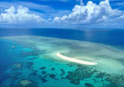 Australia - Great Barrier Reef - 🐊🪸 Ancient Daintree meets The Great Barrier Reef: A Week in Port Douglas, Australia 🐢🇦🇺 - 5